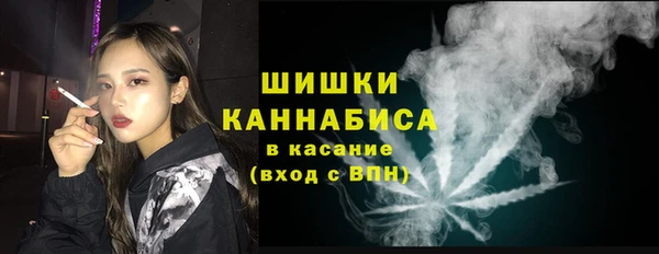 амф Осташков