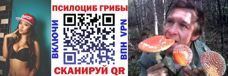 Купить где  Кировск  Псилоцибиновые грибы MAGIC MUSHROOMS 